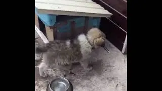 Ты куда пошёл?