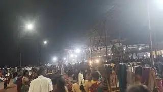பங்குனி உத்திரம் திருச்செந்தூர் மயில் வாகன தரிசனம்