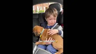 Awesome and Cute Animal Videos! #15