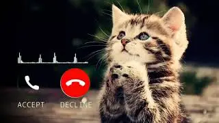 Ringtone|Message ringtone|notification ringtone|Hindi Ringtone| #soomrotv  best tone | King of sms |
