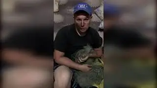 Рыба пьяная