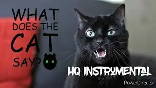N2 the talking cat crew What does the cat say HQ instrumental