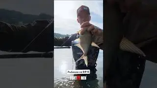#fortmen #fishing #рыбалка #рыбалка2024