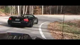 Chasing Snakes through the Woods (Geos Run) 2011
