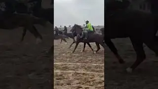 Бузкаши Шаҳристон  Диёр полвон аспи Акои Зайниддин Нуриддинов д.Қалъаи Дӯст асп бо номи “Чингиз”