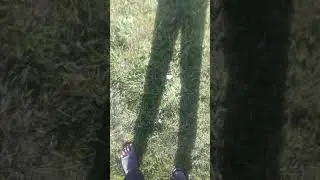 Понт ормонхан