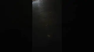 Уход с ютуба