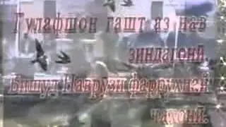 Зафарча   Хоҷа бигу 2013  супер