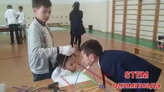 STEM олимпиада