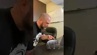 The Elephant in the Room 🐘