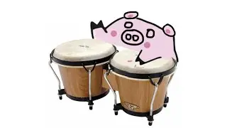 One Circle Pig Song (bongo tiktok remix)
