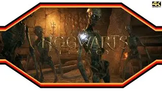 Hogwart's Legacy ★ 06 ★ Auf der Spur uralter Magie ★ LiveStream