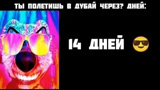 ты полетишь в Дубай через ? дней: