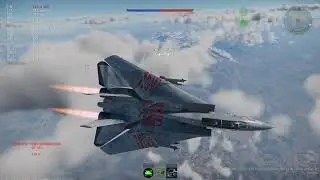 F-14 Tomcat in a downtier...
