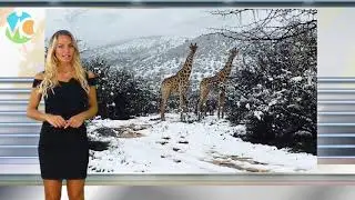 NEVE in SUD AFRICA: video e foto dell'insolito evento di inizio primavera