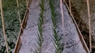 8 МАЯ! СНЕГ! МЫ НА ДАЧЕ.