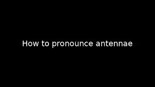How to pronounce antennae