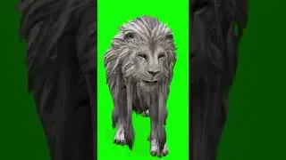 GREENSCREEN VIDEO CHROMA KEY BACKGROUND CHANGE TIGER LION PANTHER ANCIENT POWERFUL BEAST VIDEOEFFECT