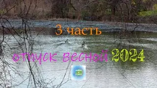 Часть 3. Весенний Отпуск 2024: Приключения и Отдых в Сердце Весны. Хобби и отдых.