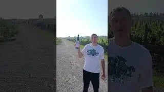 Винная деревня🍇 
