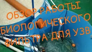 Обзор работы биологического фильтра для УЗВ
