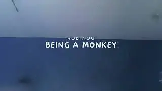 Robinou - Being a Monkey (Official Audio)