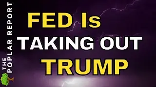 🚨🚨The Federal Reserve Is STAGING A COUP!!
