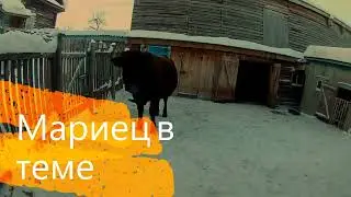 Будни в деревне. Котлеты из баранины. Затопил баню