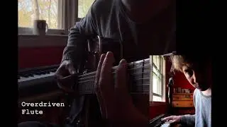 Smell (Original Tune)