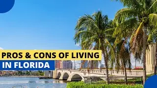 Pros and Cons of Living in Florida