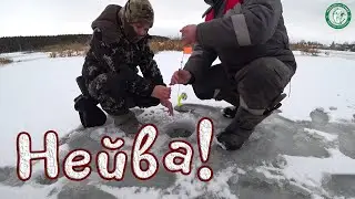 PIKE CHASED US, FISHING WITH CHILDREN ON THE NEIV RIVER ON THE FIRST ICE, PIKE ON TIP-UPS, WE FIS...
