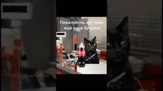 Продавец обхитрил покупателей😈 #р_е_к_о_м_е_д_а_ц_и_и #приколысживотными #смех #котики #собачки