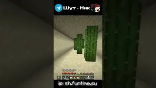 Нашел секретную базу на фантайме IP: sh.funtime.su