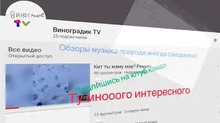 Подборка мемов из Pinterest