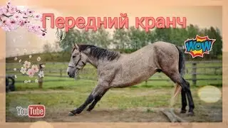 Видео-урок//Передний кранч