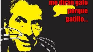 macri gato