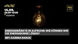Im Webinar mit Karina Knaus: Energiemärkte in Aufruhr: Wie können wir die Energiekrise lösen?