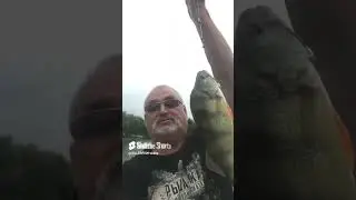 KILLER FISH 007 !!! TAGANKA 2023 !!!