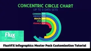 Infographics Mega Pack After Effects template Concentric Circle Chart