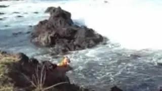 Easter Island - Sea Side