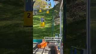 10 мая 2023 г.