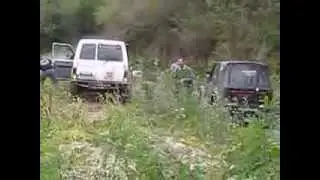 MVI 2918