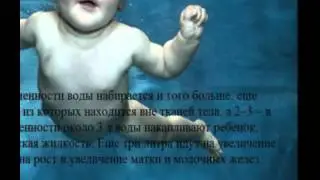 видеоролик команды Молекула