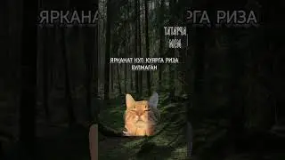 Татарча мем: татар халык әкияте "Ай белән Кояш" #татары #татарча #татарлар