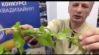 Основные приемы работы с растениями в травнике.