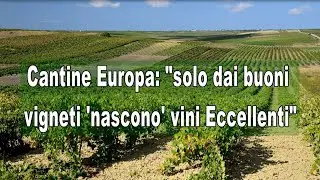 Cantine Europa: 