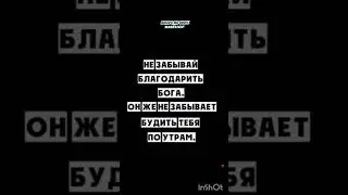 #мудрые_мысли #цитаты #философия #newlife #мотивация #цитатадня #трогательно