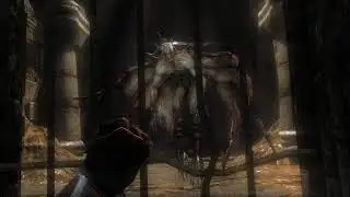Jerhico | 60fps + RTX Reshade | Highest Settings