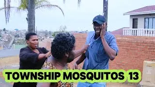 TOWNSHIP MOSQUITOS 13