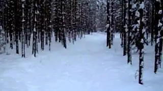снег на дороге б 45